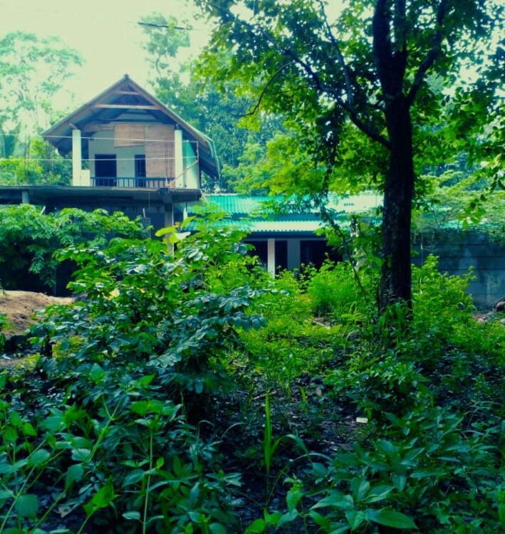 Habarana Dulwan Guest House Luaran gambar
