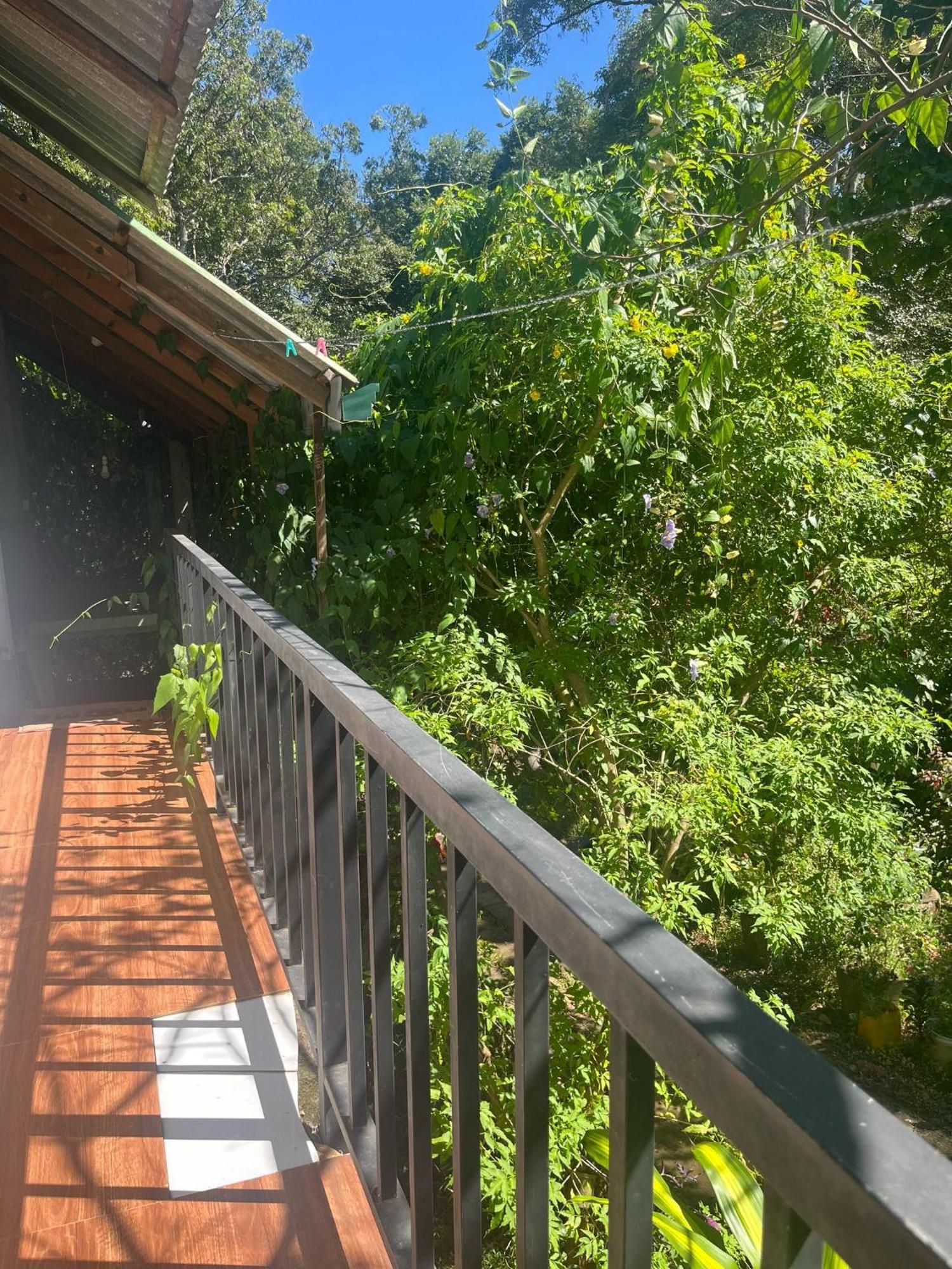 Habarana Dulwan Guest House Bilik gambar